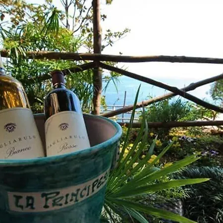 Villa Principessa Pool And Sea Access By Amalfivacation Ravello